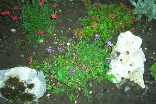 IM001150